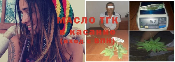 молекула духа Богданович