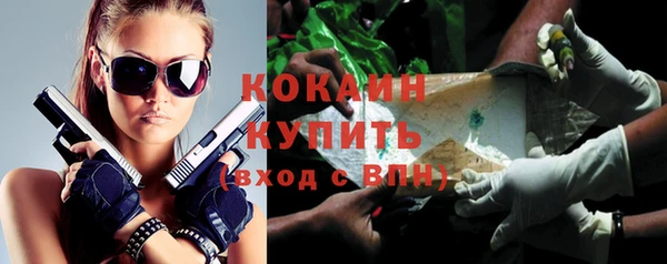 молекула духа Богданович