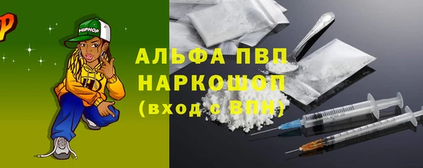молекула духа Богданович