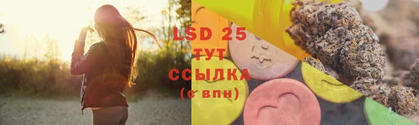 mdpv Богородск