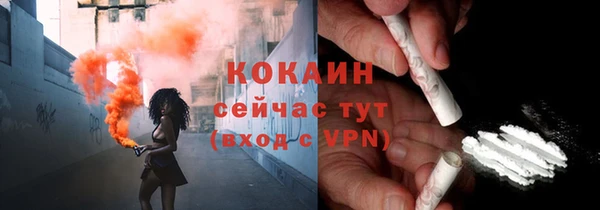 молекула духа Богданович