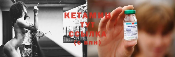 молекула духа Богданович