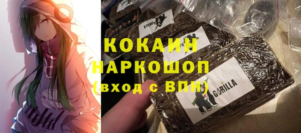 молекула духа Богданович