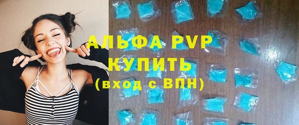 молекула духа Богданович