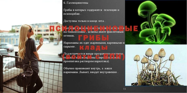молекула духа Богданович