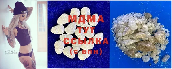 молекула духа Богданович