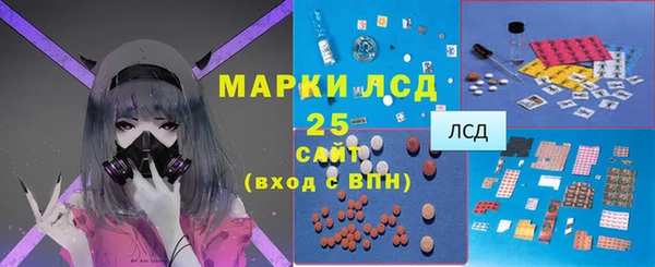 mdpv Богородск