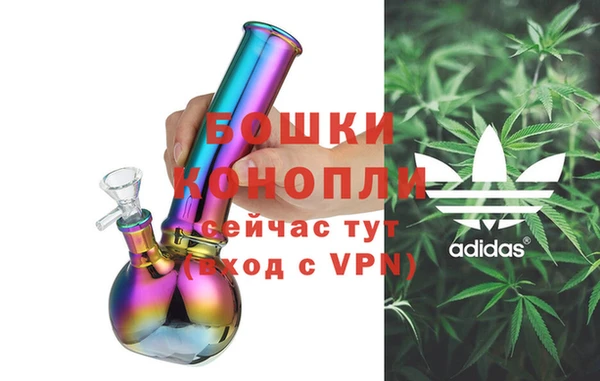 молекула духа Богданович