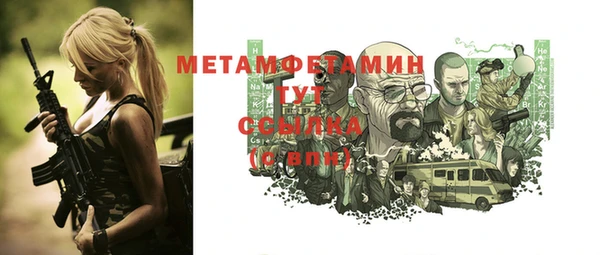 молекула духа Богданович