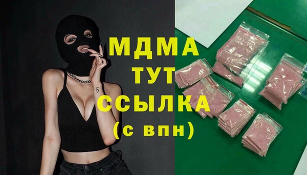 молекула духа Богданович