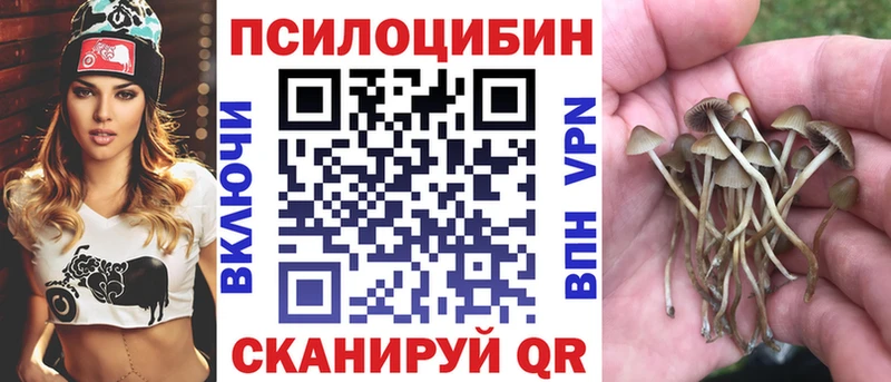 Галлюциногенные грибы Psilocybine cubensis  Мариинский Посад 