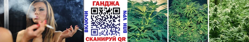 Марихуана план  Мариинский Посад 